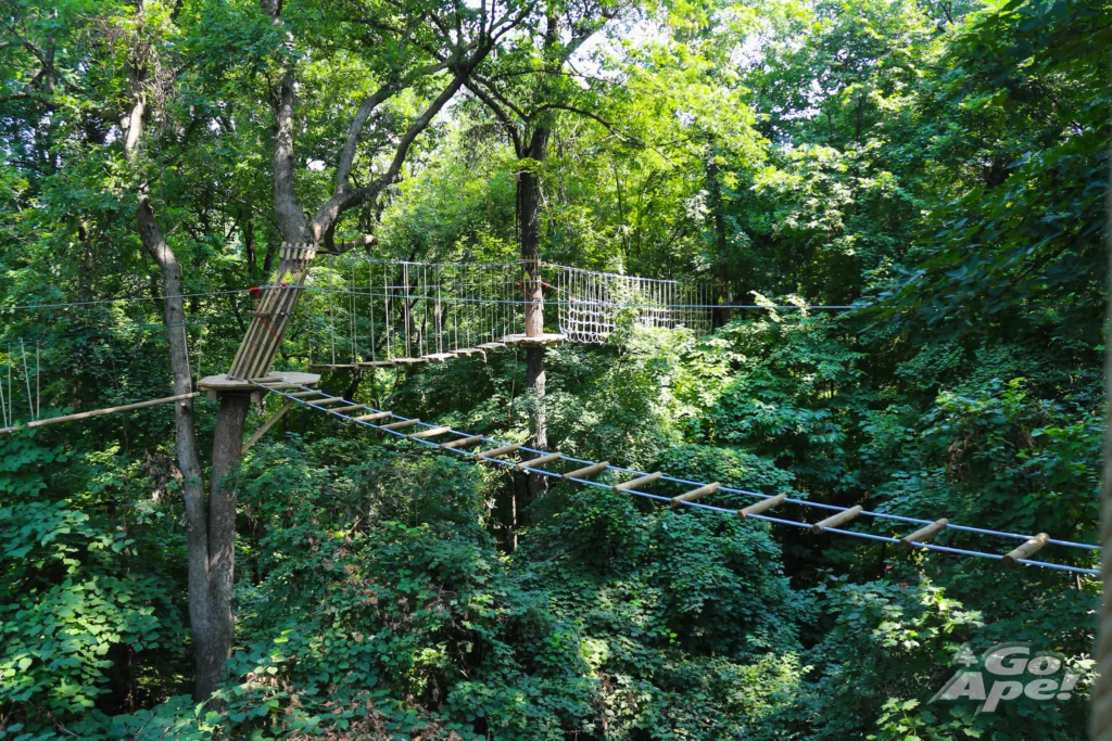 What Is the Treetop Temp? Discover Why It Feels Cooler at Go Ape