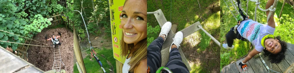 A collage of amazing treetop experiences