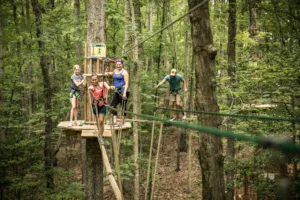 Go Ape Members Tell Their Stories