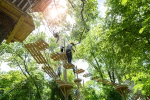 Earth Day Activities Outdoors: Adventure That Gives Back
