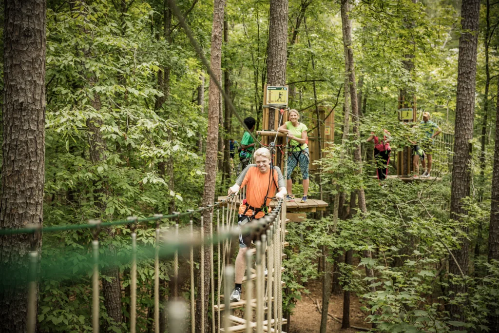 Is Go Ape Safe? A Plain-English Look at Our Safety Standards