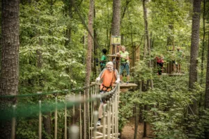 Is Go Ape Safe? A Plain-English Look at Our Safety Standards