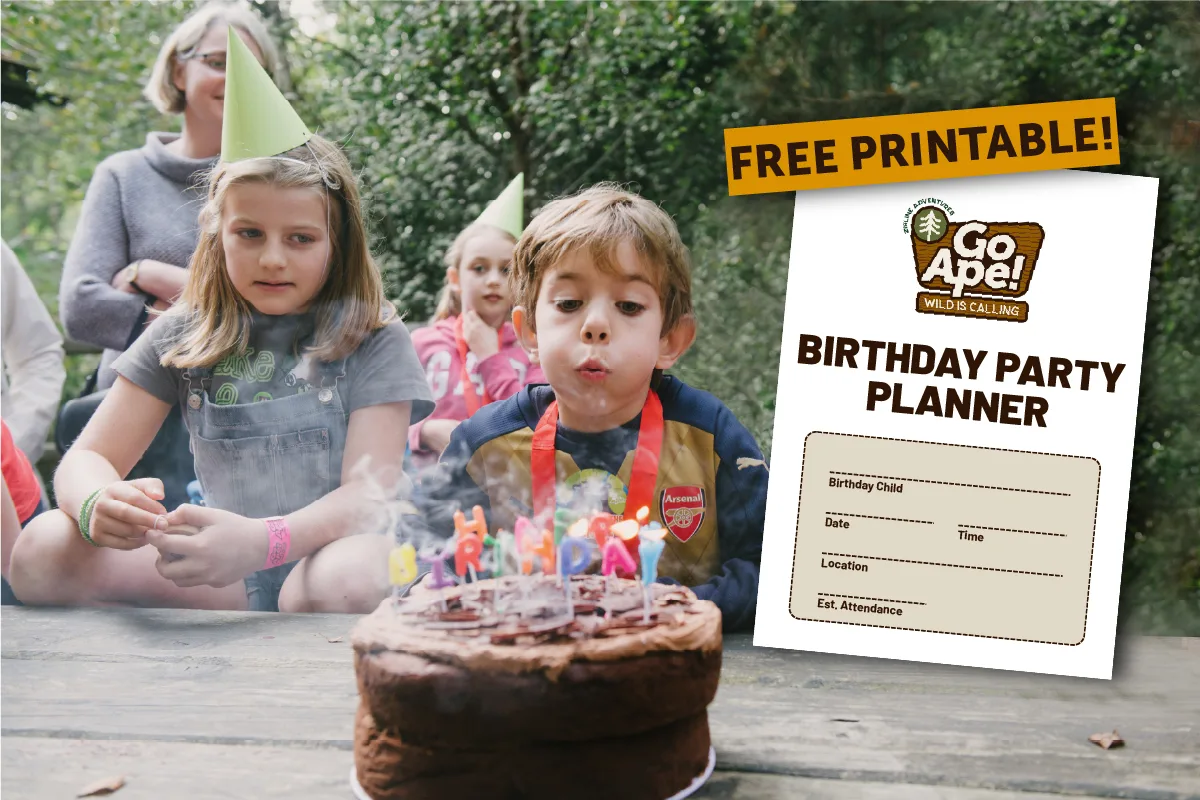 Free Printable Birthday Party Planner